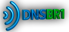 Logo DNSBR1